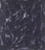 dia5-groenemarmer.GIF (2419 bytes)